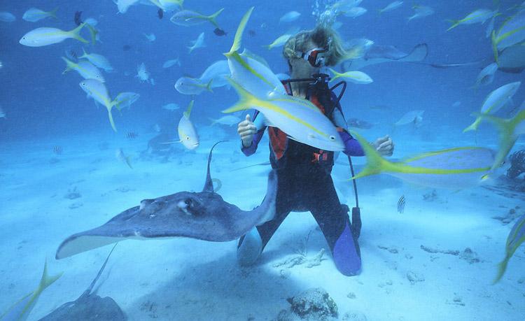 济南中医风湿病医院:专注痛风风湿专研诊疗 持续化愈后管理 多项帮扶举措就医放心